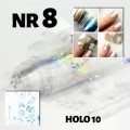 holo 10_8.jpg
