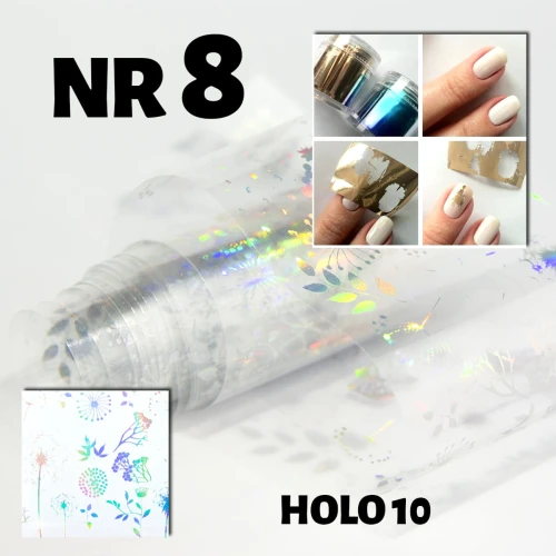 holo 10_8.jpg