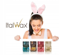 Zestaw do depilacji 4x wosk twardy Italwax ECO podgrzewacz PRO-WAX100 szpatułki 100szt 14.png