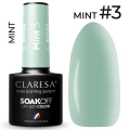 mint3.jpg