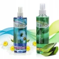 Zestaw ItalWax do depilacji podgrzewacz 40W Single Fo 4x rolka wosk aromatyczny 03.png