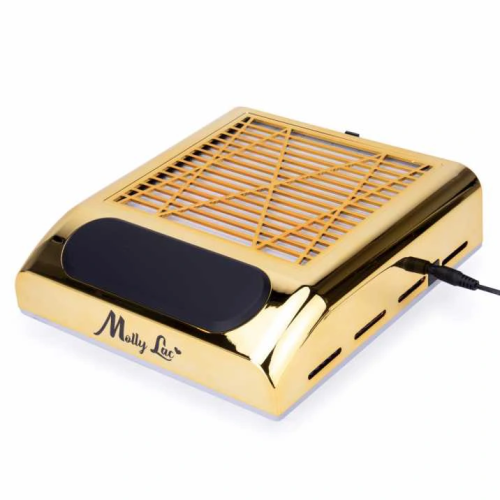 Pochłaniacz pyłu 80W kasetowy Molly Lac Gold złoty 01.png