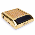 Pochłaniacz pyłu 80W kasetowy Molly Lac Gold złoty 04.png