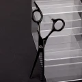118256