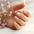 90ddab9b4ad2add8de9bcfee36bb