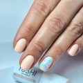 e7fe7a0646649846160e79d546e6