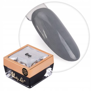 Molly Lac Paint Gel 10 Grey Żel do zdobień ombre i ornamentów HEMA/Di-HEMA Free 5g