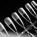 d304e85d61700d172ec30605e9b8229c
