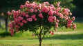 6a7b565cbb16787ad26f6e3c67bb78f0