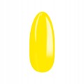 c7b2386c02b99d4e5460cc80cc3392c2