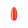 01 Boska Nails Odissea Divina 539 Blooms & Blunders kolorowy lakier hybrydowy 6ml.jpg