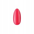 03 Boska Nails Up Divina 554 Argentinian Wine intensywny czerwony lakier hybrydowy 10ml.jpg