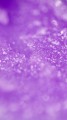 3933282b157b9dce2eeae17789dfda74
