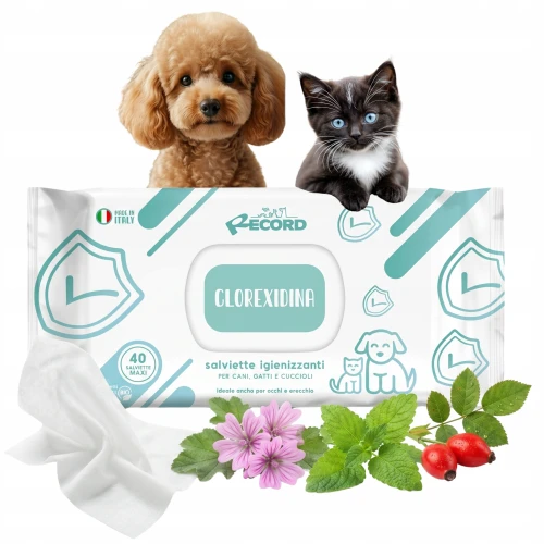 b351698a1fb305932fb69c237e3c1a96