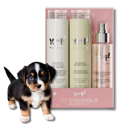 c8d0c2f62ef1f29e98d05a4eaa0e4d1f