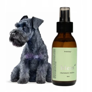 ProbioDay Probiotyczne Delikatne Perfumy do Sierści Psa Bez Alkoholu Mojito 100ml