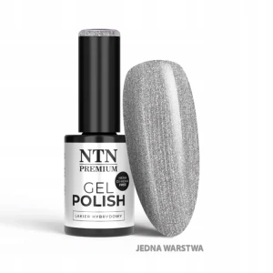 NTN Premium Lakier do Paznokci Hybrydowy 566 Grey Glitter szary brokatowy limitowany 5g